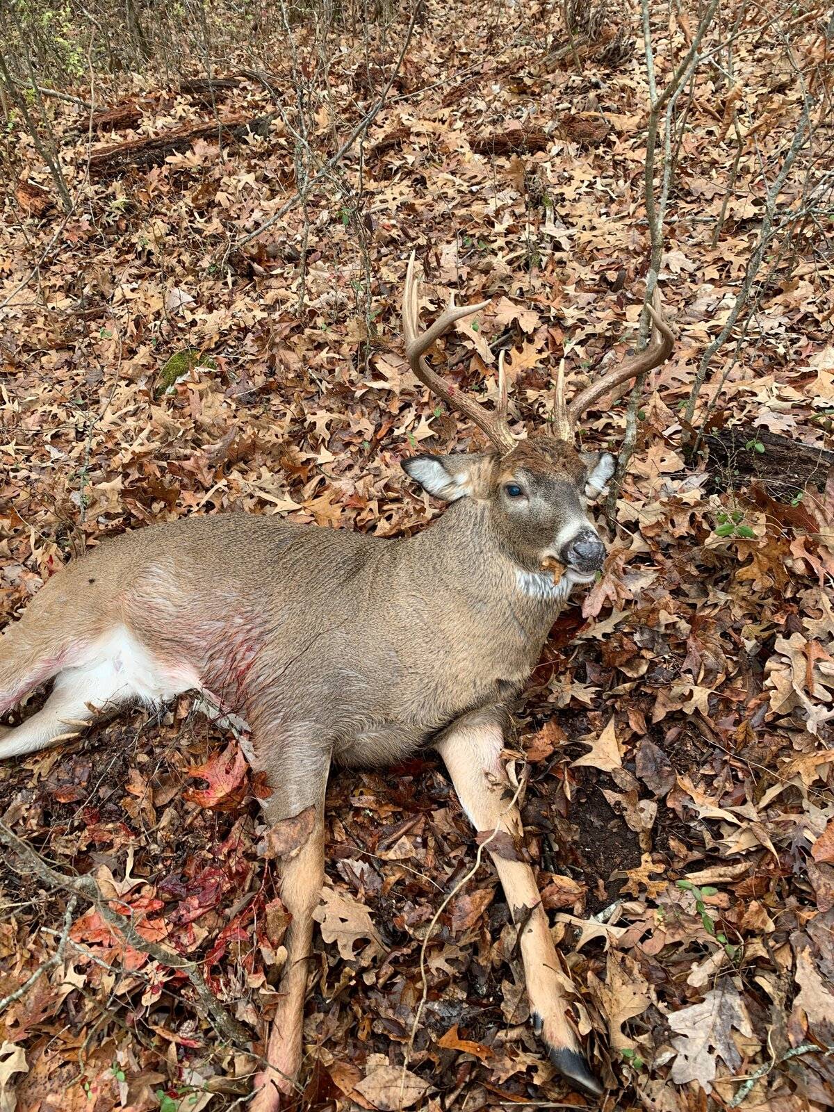 9 pt.jpg