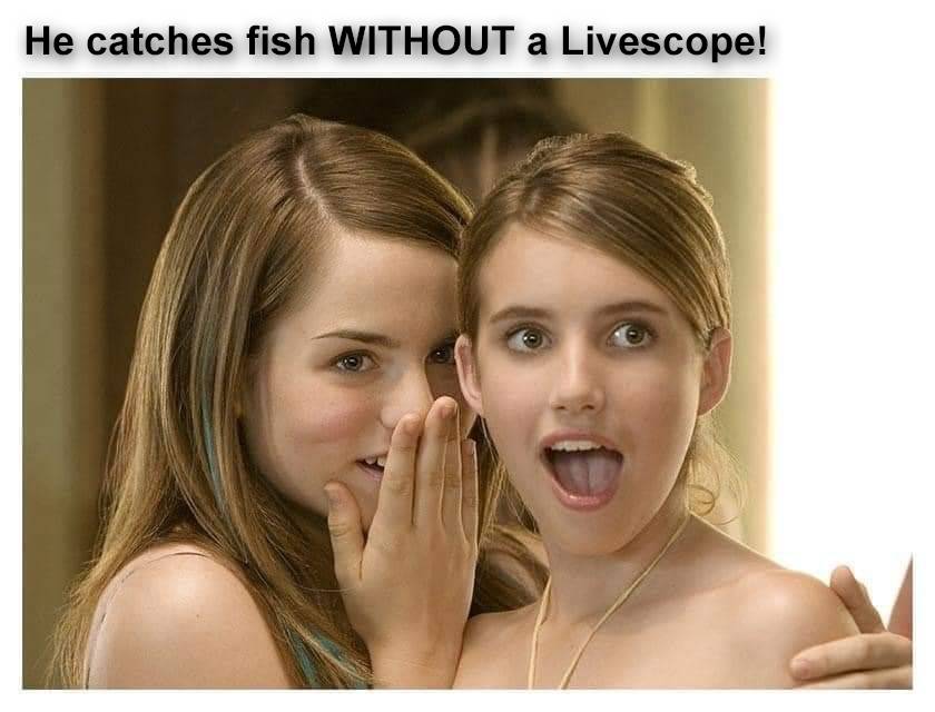 no_livescope.jpg