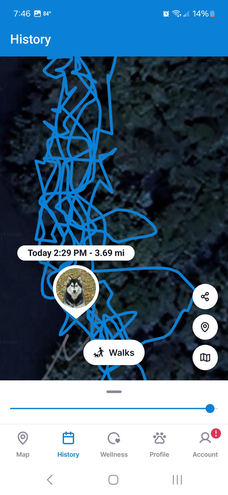 Screenshot_20240902_194624_Tractive GPS.webp