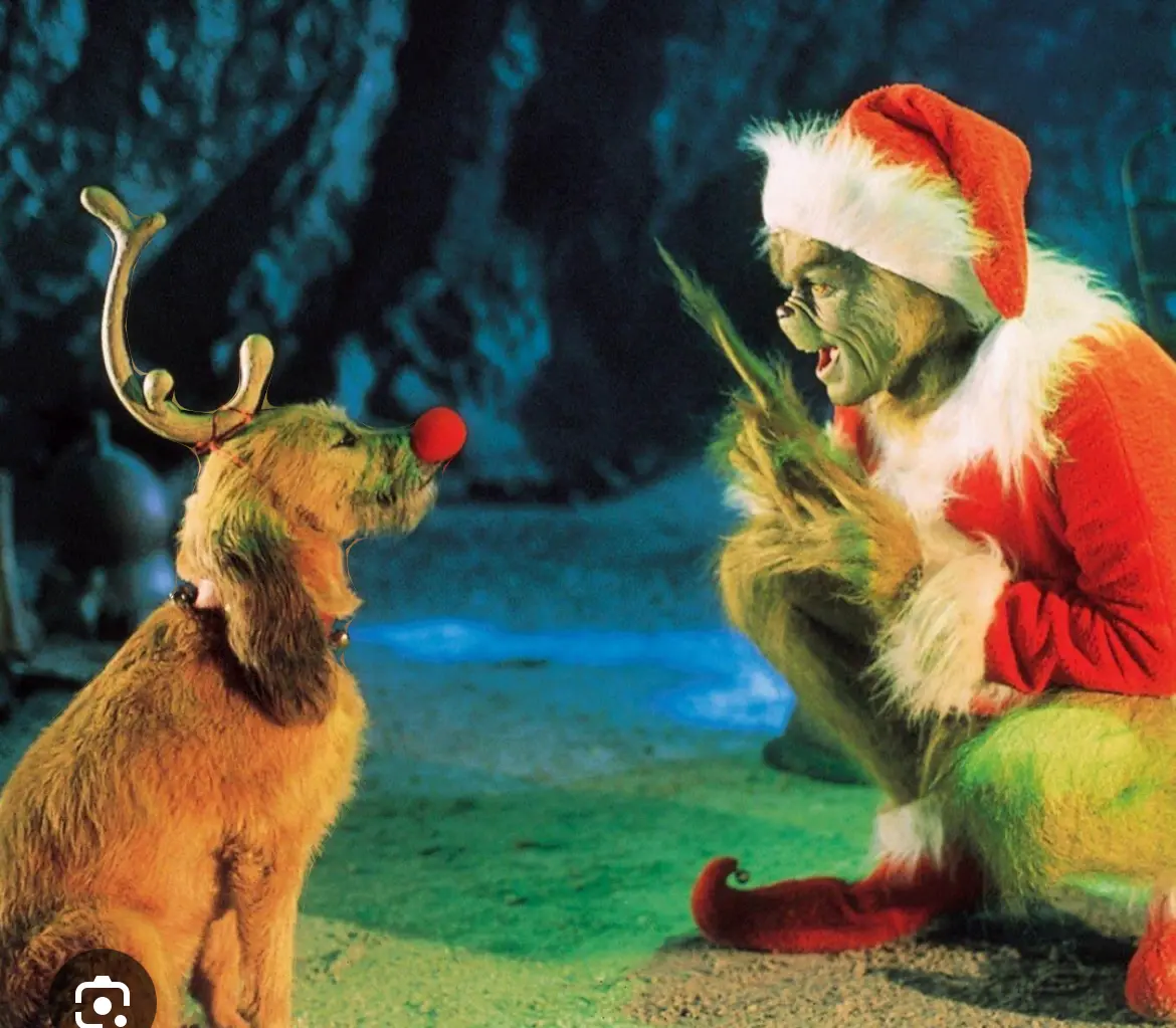 the grinch's dog - Google Search.webp