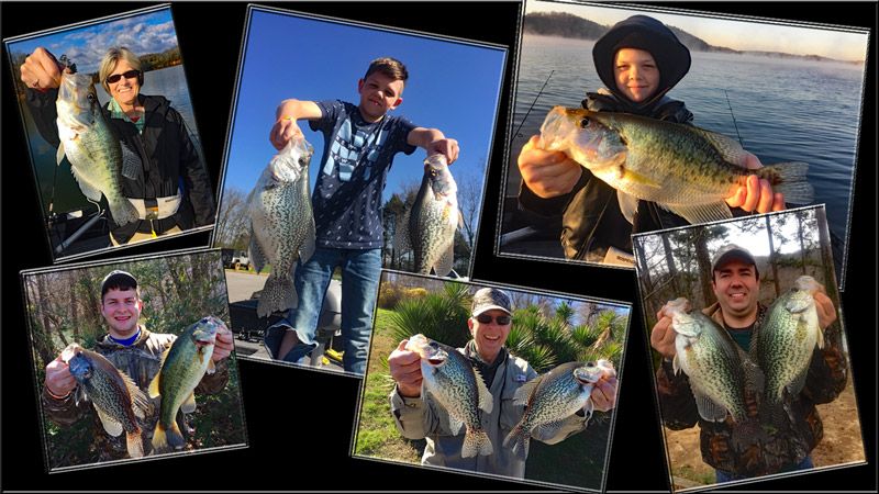 crappie_collage.jpg